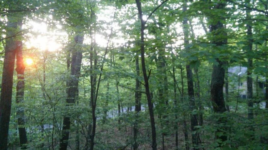 Wintergreen Mount Torry Furnace Exterior photo